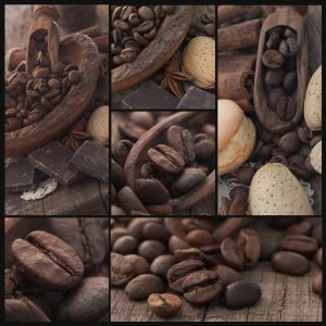 Activities & Leisure | Coffee Bean Collage Wall Mural Activities & Leisure Activities & Leisure