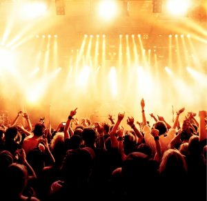 Activities & Leisure | Concert Crowd Wall Mural Activities & Leisure Activities & Leisure