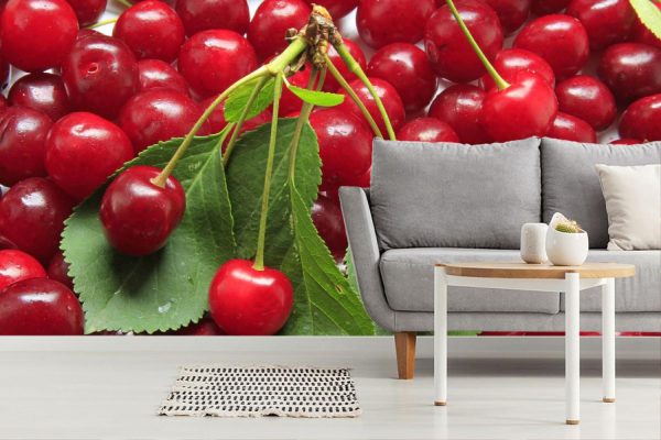 Activities & Leisure | Fresh Cherries Wall Mural Activities & Leisure Activities & Leisure