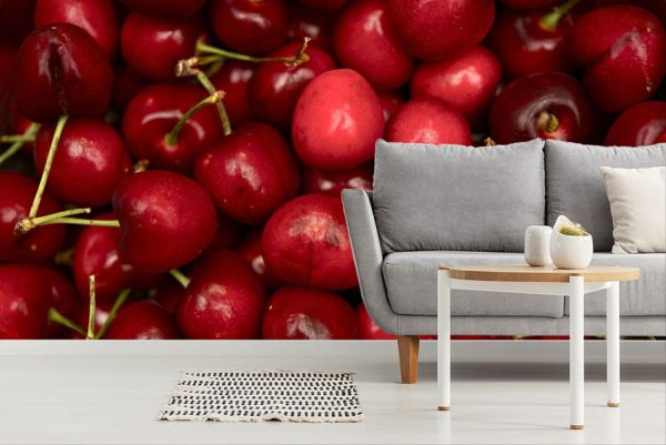 Activities & Leisure | Fresh Organic Sweet Cherries Wallpaper Mural Activities & Leisure Activities & Leisure