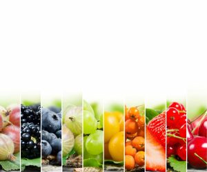 Activities & Leisure | Fruits and Berries Mural Wallpaper Activities & Leisure Activities & Leisure