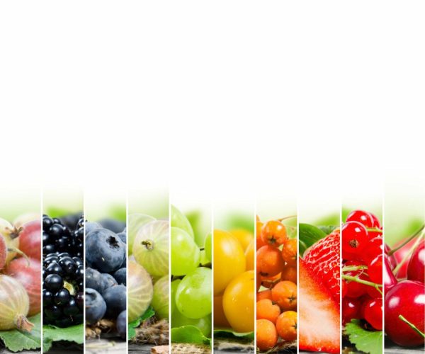 Activities & Leisure | Fruits and Berries Mural Wallpaper Activities & Leisure Activities & Leisure