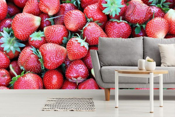 Activities & Leisure | Harvest of Ripe Strawberries Wall Mural Activities & Leisure Activities & Leisure