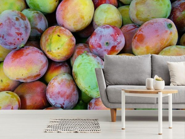 Activities & Leisure | Mango Mural Wallpaper Activities & Leisure Activities & Leisure