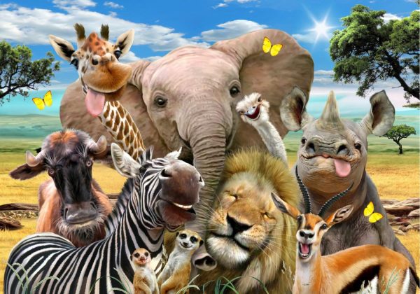 Animals | African Selfie Wall Mural Animals Animals