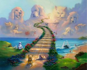 Animals | All Pets Go To Heaven Wall Mural Animals Animals