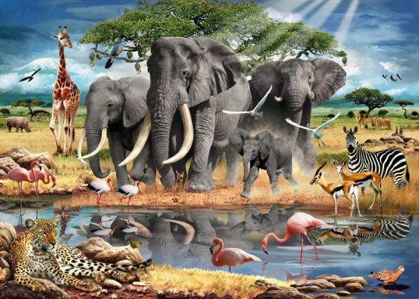 Animals | At Waters Edge Mural Wallpaper Animals Animals