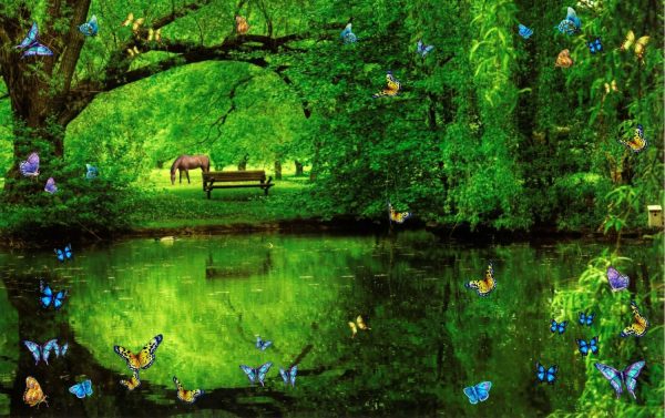 Animals | Butterfly Pond With Horse Wallpaper Mural Animals Animals