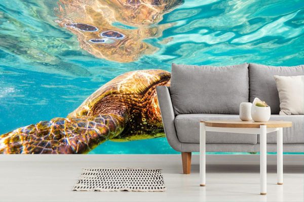 Animals | Cruisin’ Sea Turtle Mural Wallpaper Animals Animals