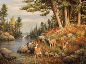 Animals | Deer And Pines Wall Mural Animals Animals