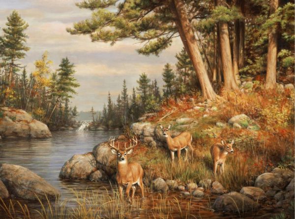 Animals | Deer And Pines Wall Mural Animals Animals