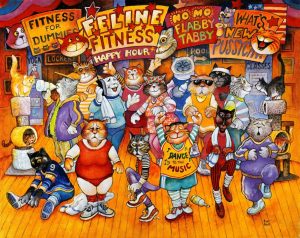 Animals | Feline Fitness Wall Mural Animals Animals