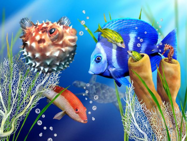 Animals | Fishies and Bubbles Wallpaper Mural Animals Animals