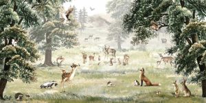 Animals | Forest Fun Wall Mural Animals Animals