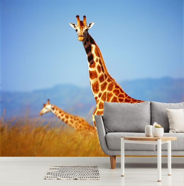 Animals | Giraffe On The Savanna Wallpaper Mural Animals Animals