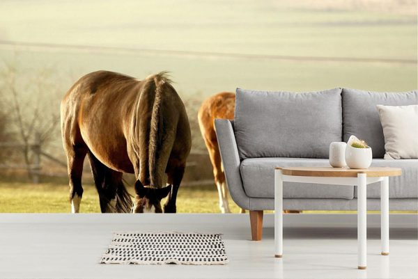 Animals | Grazing Horses In A Field Wallpaper Mural Animals Animals