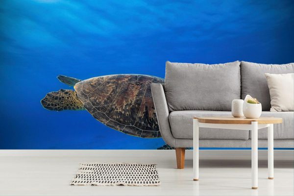 Animals | Green Turtle In The Blue Wallpaper Mural Animals Animals