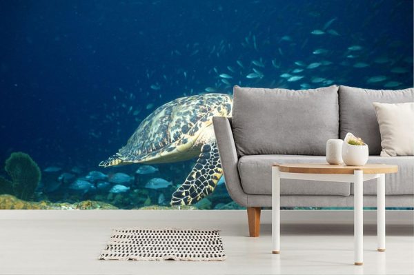 Animals | Hawksbill Sea Turtle Over Wreck Wall Mural Animals Animals