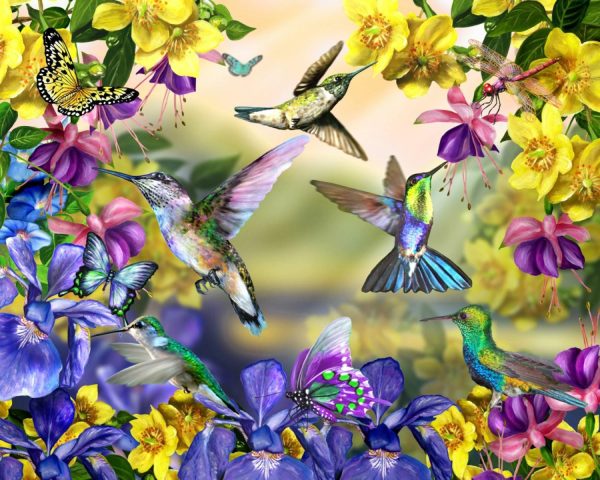 Animals | Hummingbirds and Butterflies Mural Wallpaper Animals Animals