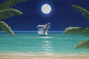 Animals | Humpback Happiness Wall Mural Animals Animals