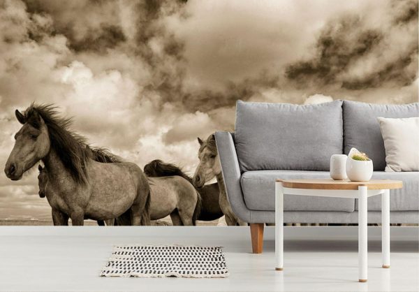 Animals | Icelandic Horses Wallpaper Mural Animals Animals