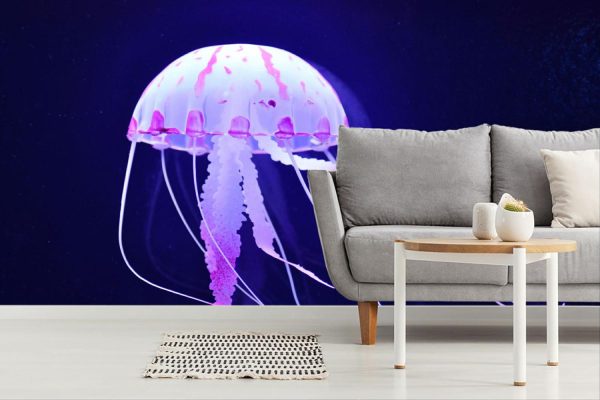 Animals | Jellyfish Mural Wallpaper Animals Animals