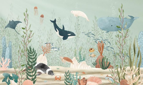 Animals | Kelp Forest Wallpaper Mural Animals Animals