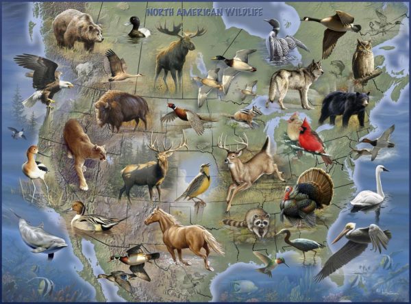 Animals | North American Wildlife Map Wall Mural Animals Animals