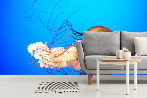 Animals | Orange Jellyfish Wallpaper Mural Animals Animals