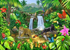 Animals | Rainforest Harmony Mural Wallpaper Animals Animals