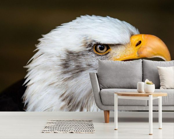 Animals | Screeching Eagle Wallpaper Mural Animals Animals