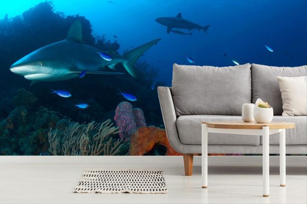 Animals | Sharks And Reef, Bahamas Wallpaper Mural Animals Animals