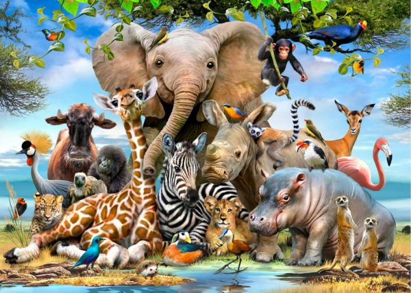 Animals | Smile Wall Mural Wallpaper Murals Animals