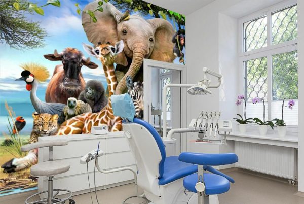 Animals | Smile Wall Mural Wallpaper Murals Animals