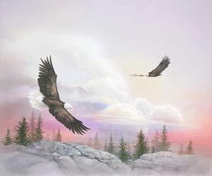 Animals | Soaring With Eagles Mural Wallpaper Animals Animals