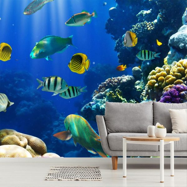 Animals | Tropical Fish On A Coral ReefMural Wallpaper Animals Animals