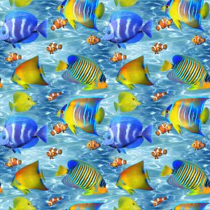 Animals | Tropical Fish Parade Wallpaper Animals Animals