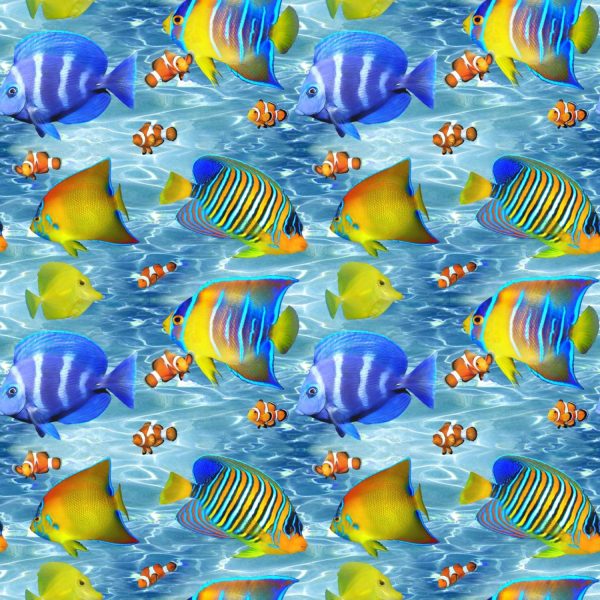 Animals | Tropical Fish Parade Wallpaper Animals Animals