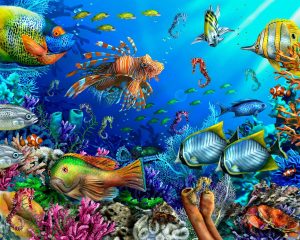 Animals | Under The Sea Wall Mural Animals Animals