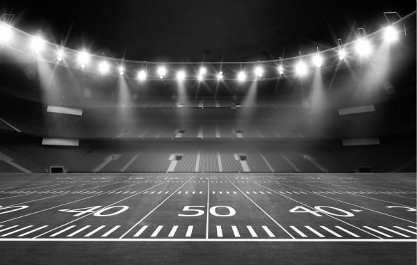 Architectural | Football Stadium On the 50 Yard line Wall Mural Architectural Architectural