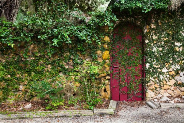 Architectural | Garden Cottage Door Wall Mural Architectural Architectural