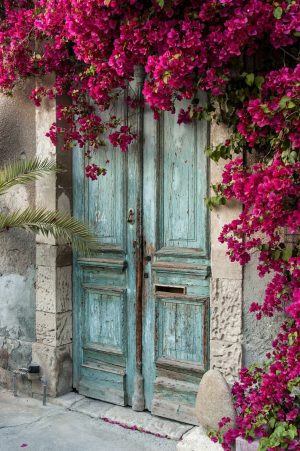 Architectural | Old Wooden Door With Bougainvillea in Cyprus Wallpaper Mural Architectural Architectural