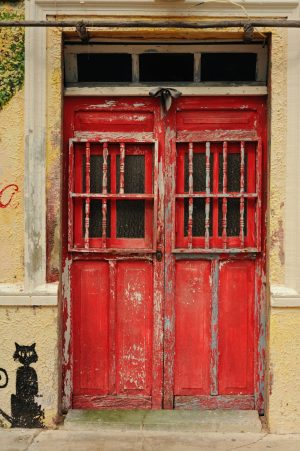 Architectural | Red Door and Black Cat Wall Mural Architectural Architectural