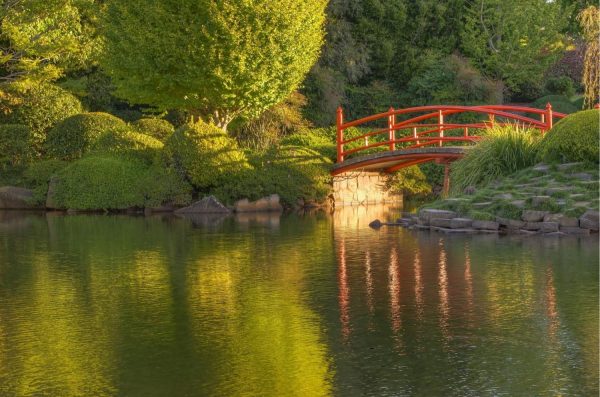 Architectural | Tranquil Bridge In A Japanese Garden Wall Mural Architectural Architectural