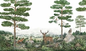 Art & Graphics | Forest Vista Wallpaper Mural Animals Animals