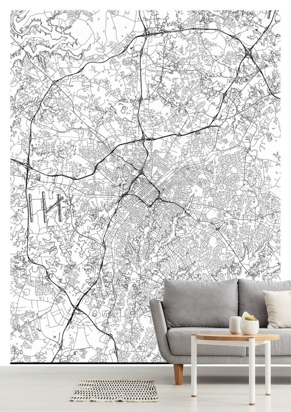 Art & Graphics | Map Of Charlotte, NC Wallpaper Mural Art & Graphics Art & Graphics