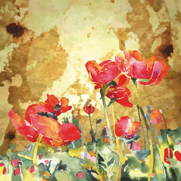 Art & Graphics | Watercolor Poppy Flowers Mural Wallpaper Art & Graphics Art & Graphics