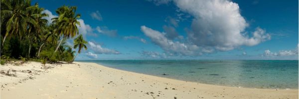 Beach & Tropical | A Perfect Day Wallpaper Mural Beach & Tropical Beach & Tropical