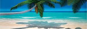 Beach & Tropical | Azure Seas Wallpaper Mural Beach & Tropical Beach & Tropical