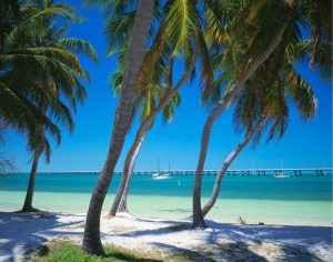 Beach & Tropical | Bahia Honda Key Mural Wallpaper Beach & Tropical Beach & Tropical